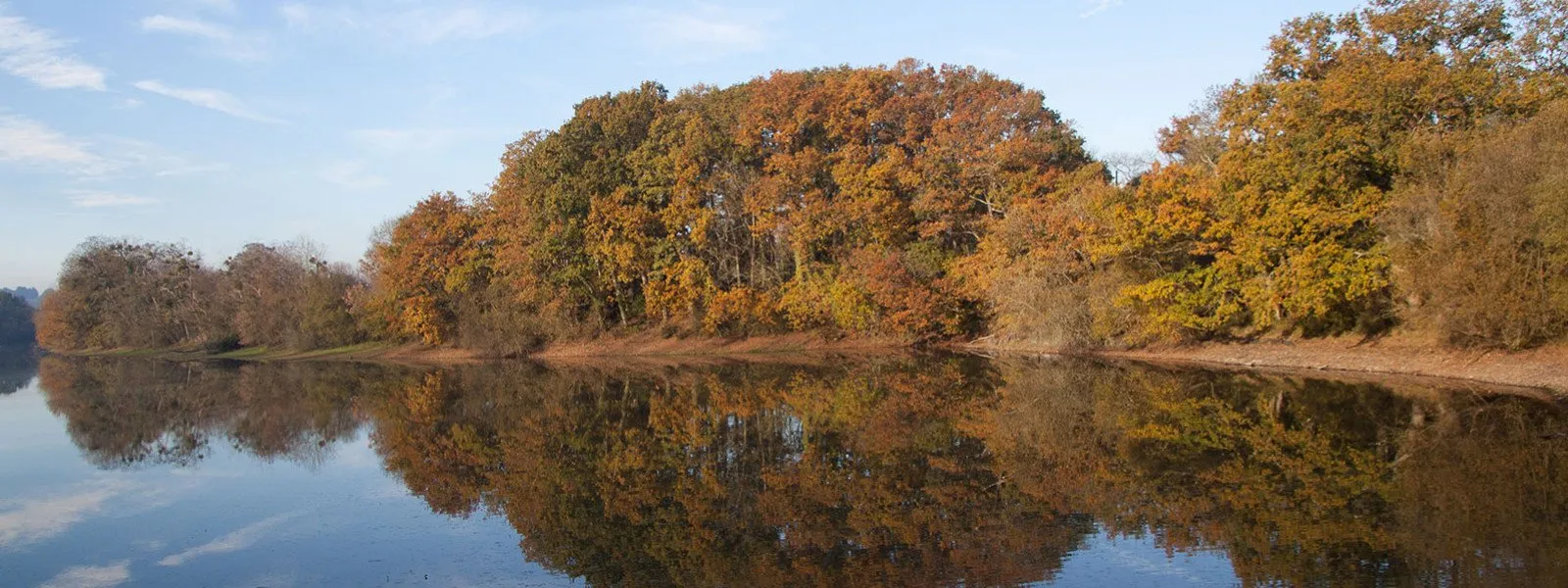 Etang de la Forge en automne