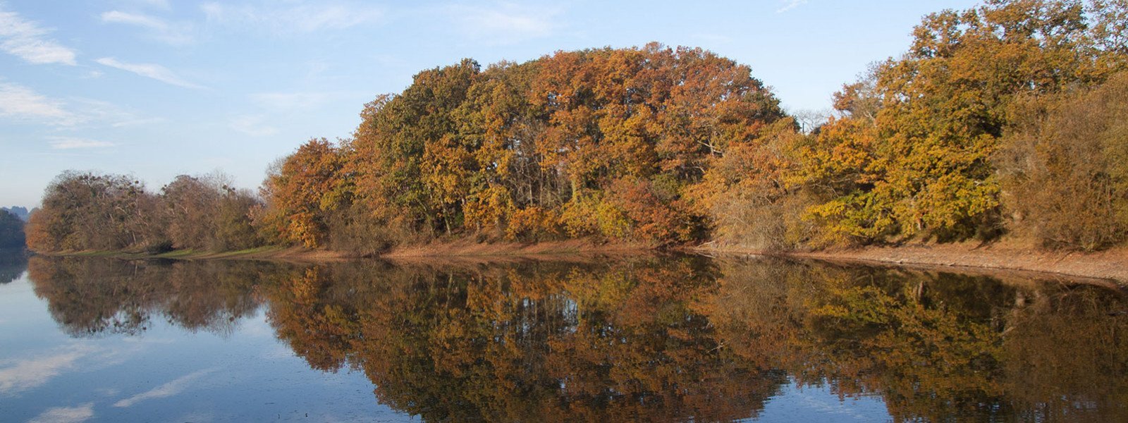 Etang de la Forge en automne